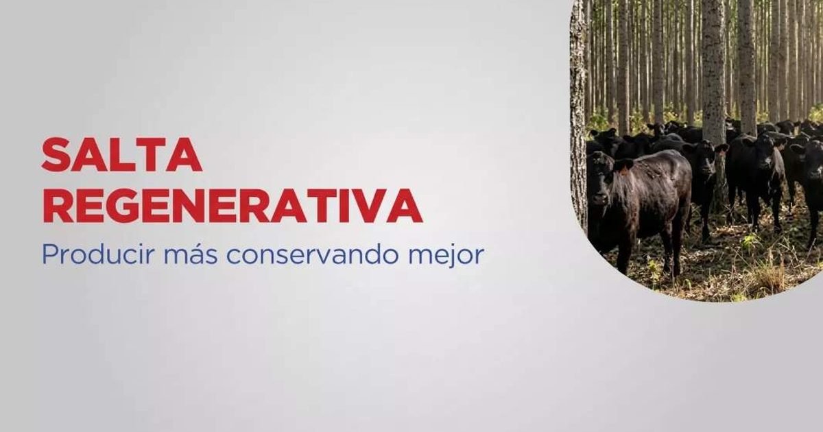 producción regenerativa en Salta