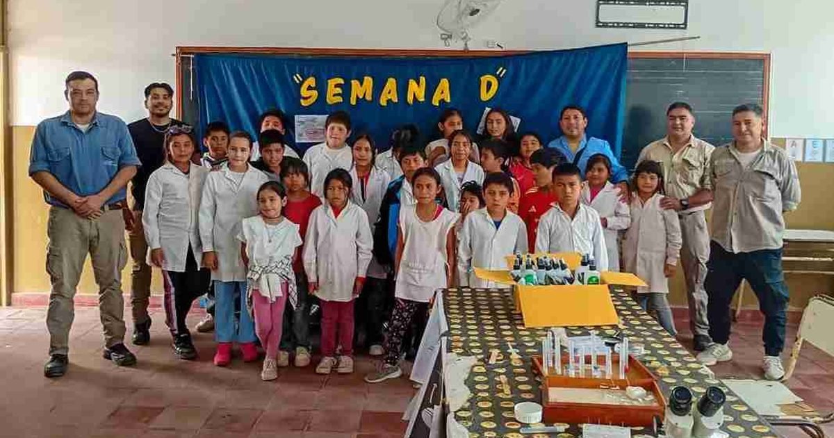 Semana D contra el dengue