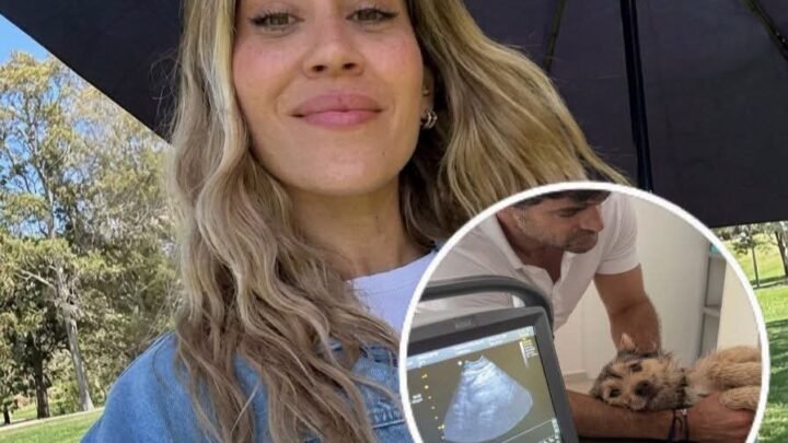 ¡Sorpresa total! Barón será "abuela" en pocos días tras el inesperado diagnóstico de su perrita Lucy