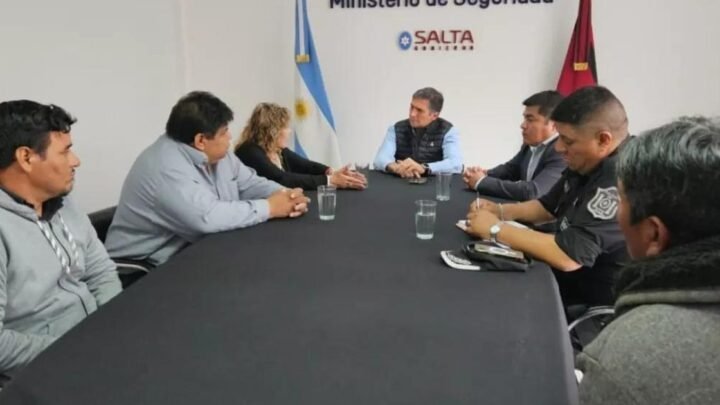 seguridad ciudadana