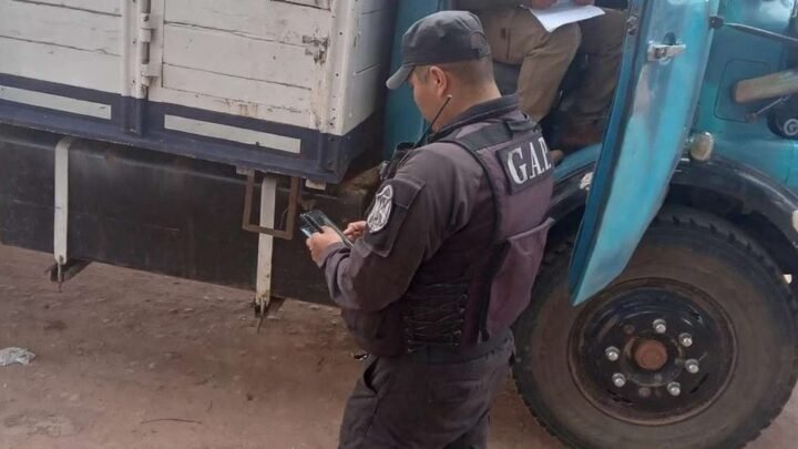 abigeato en Apolinario Saravia
