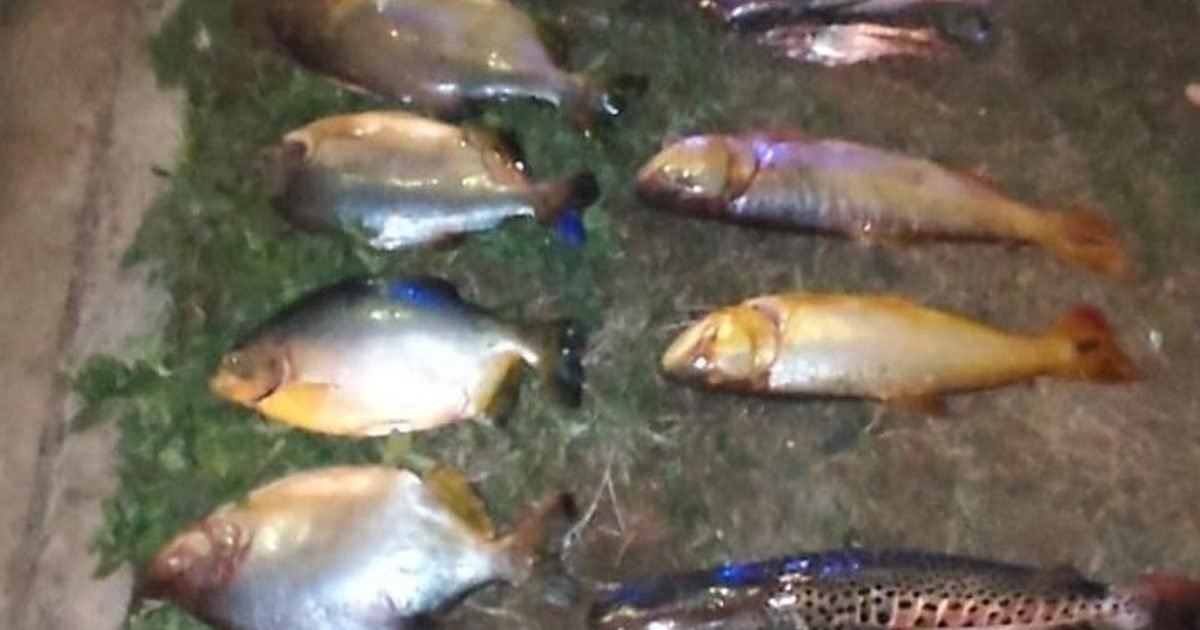 pesca ilegal en Luis Burela
