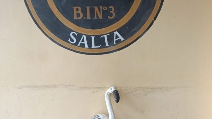 delitos contra la propiedad