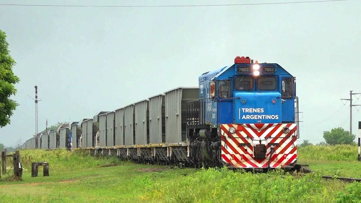 Duro revés para el Gobierno: el Grupo México abandona la licitación del Belgrano Cargas por críticas al modelo oficial