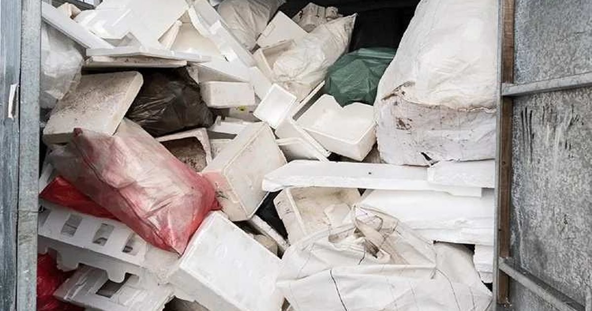 Reciclatón de la ciudad