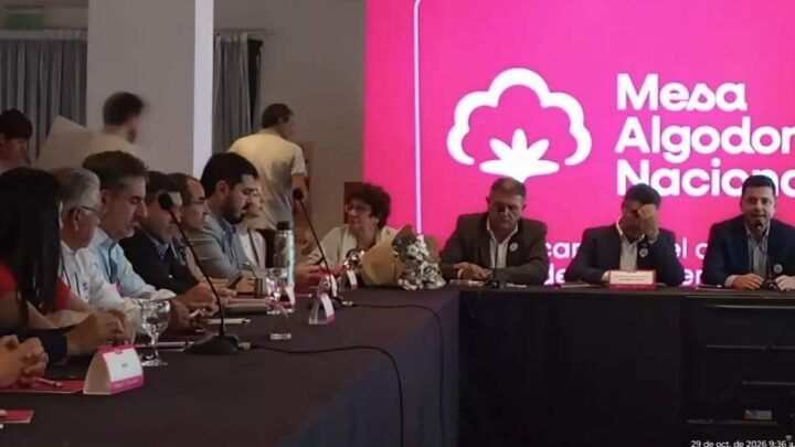 Mesa Nacional Algodonera