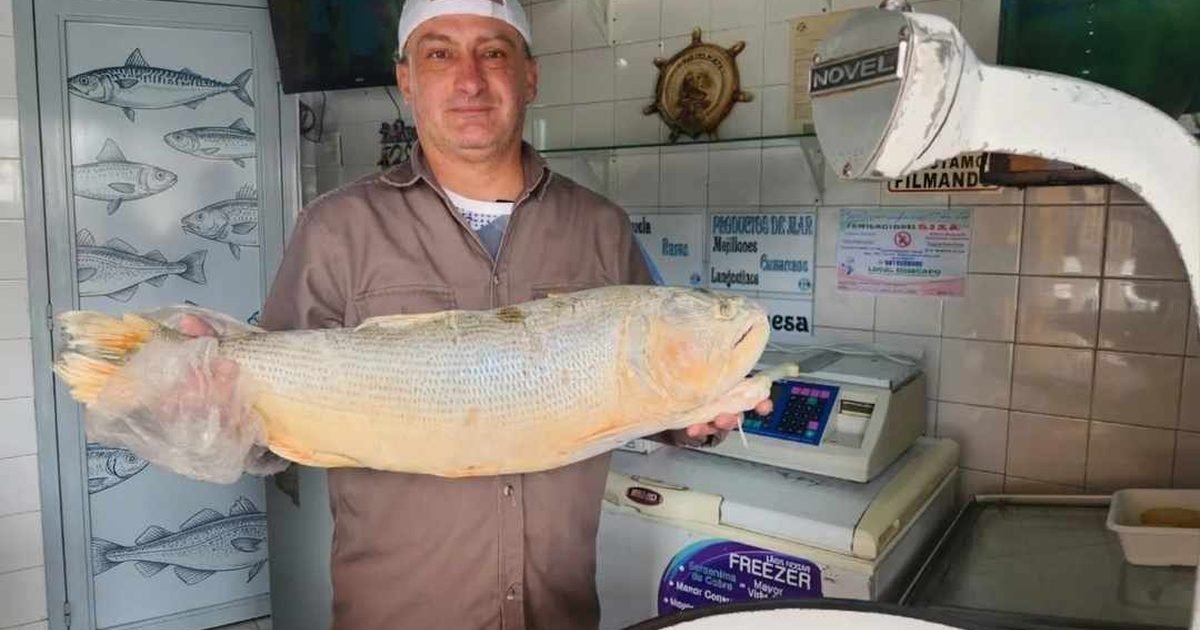 Semana del Pescado