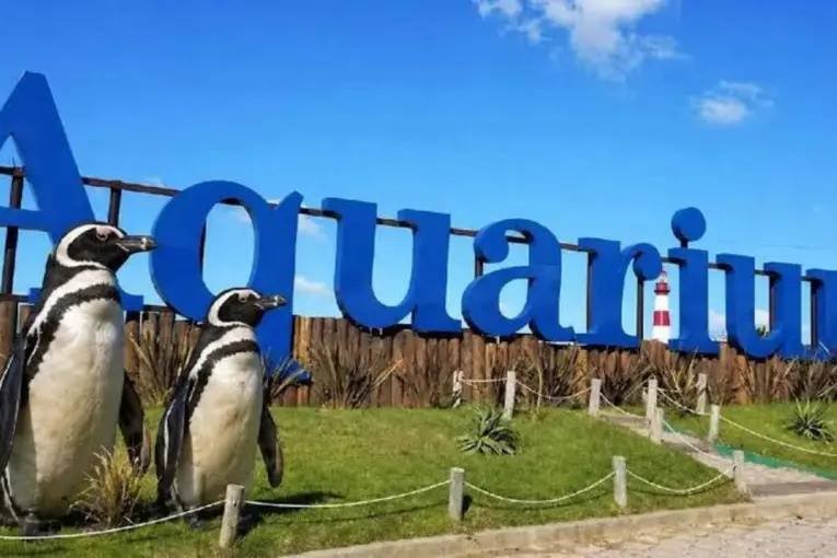 El Aquarium de Mar del Plata vendió sus últimos cuatro pingüinos y entregará el predio tras el cierre
