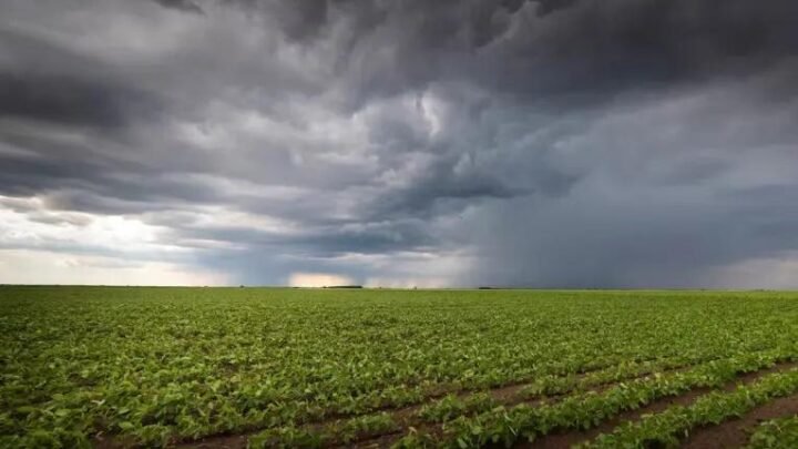 El Niño ya está instalado, pero bajan las proyecciones de lluvias para Argentina