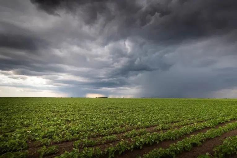 El Niño ya está instalado, pero bajan las proyecciones de lluvias para Argentina