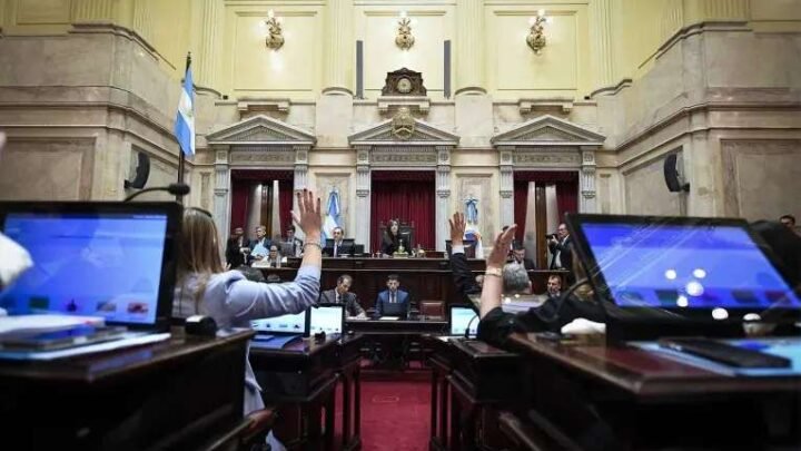 El Senado aprobó la reforma de la Ley de Salud Mental: qué cambios propone