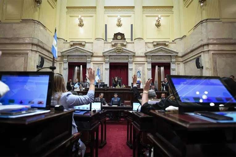 El Senado aprobó la reforma de la Ley de Salud Mental: qué cambios propone