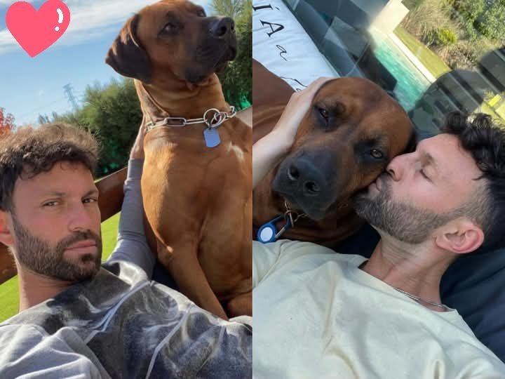 El desgarrador adiós de Matías Schwartzman a su mascota: “Te voy a extrañar con el alma”