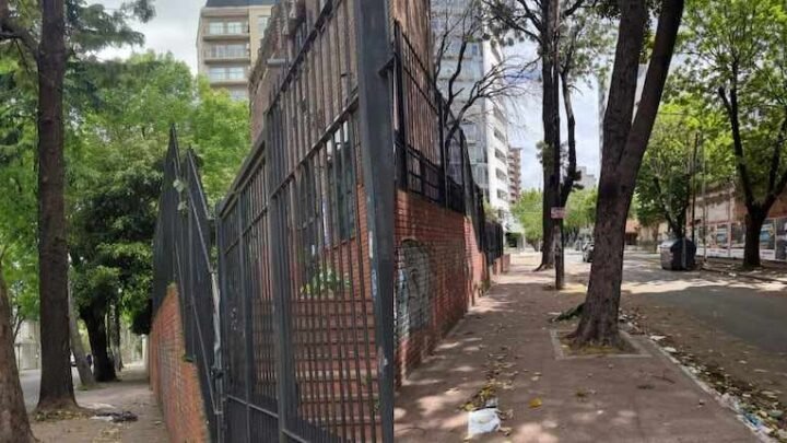 Tragedia en Quilmes: murió un bebé tras caerle una palta en la cabeza y la madre denunció que la Municipalidad podó los