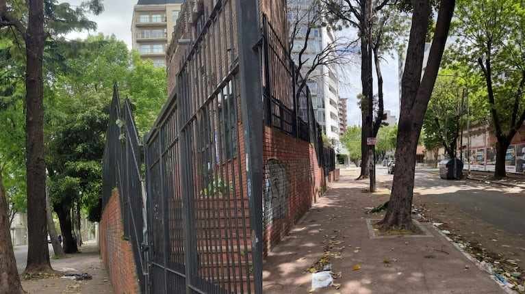 Tragedia en Quilmes: murió un bebé tras caerle una palta en la cabeza y la madre denunció que la Municipalidad podó los