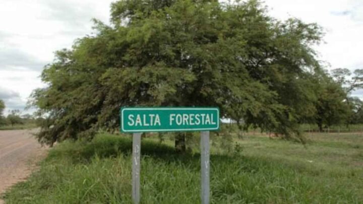 Brutal crueldad en Salta Forestal: un hombre disparó y mató a un perro porque «lo molestaba»