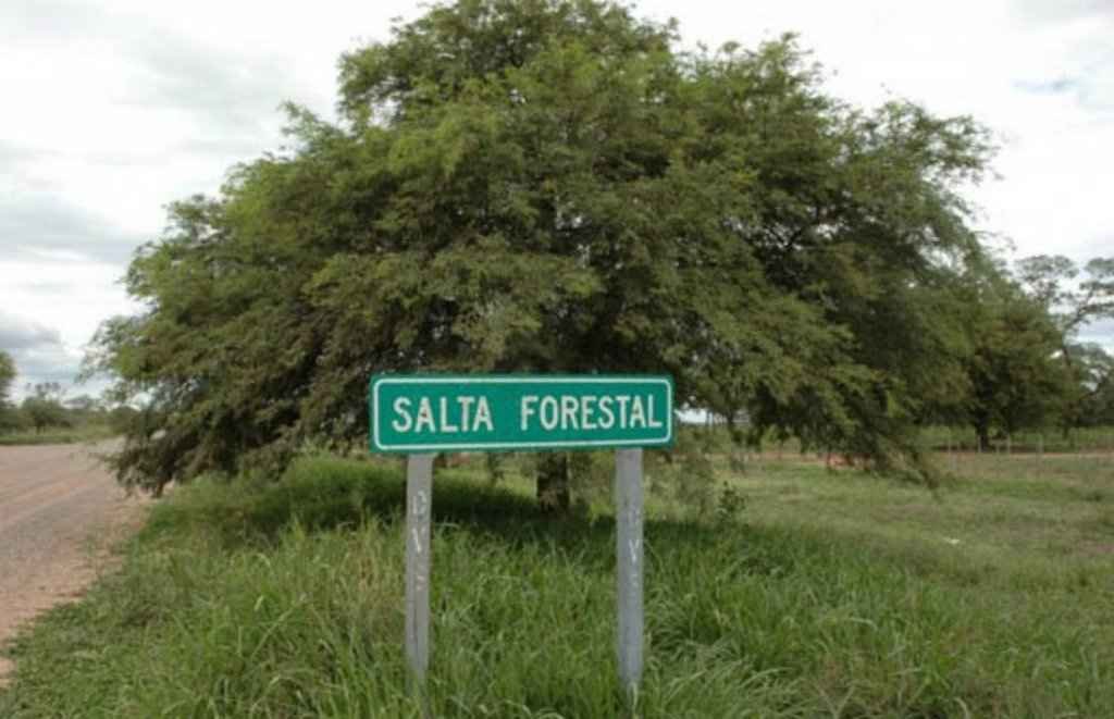 Brutal crueldad en Salta Forestal: un hombre disparó y mató a un perro porque «lo molestaba»