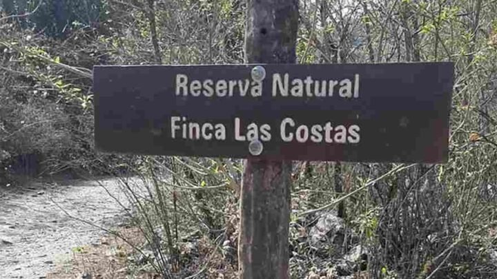 Escándalo en la Reserva Finca Las Costas: rechazan una nulidad y apelan trabas que frenan los desalojos