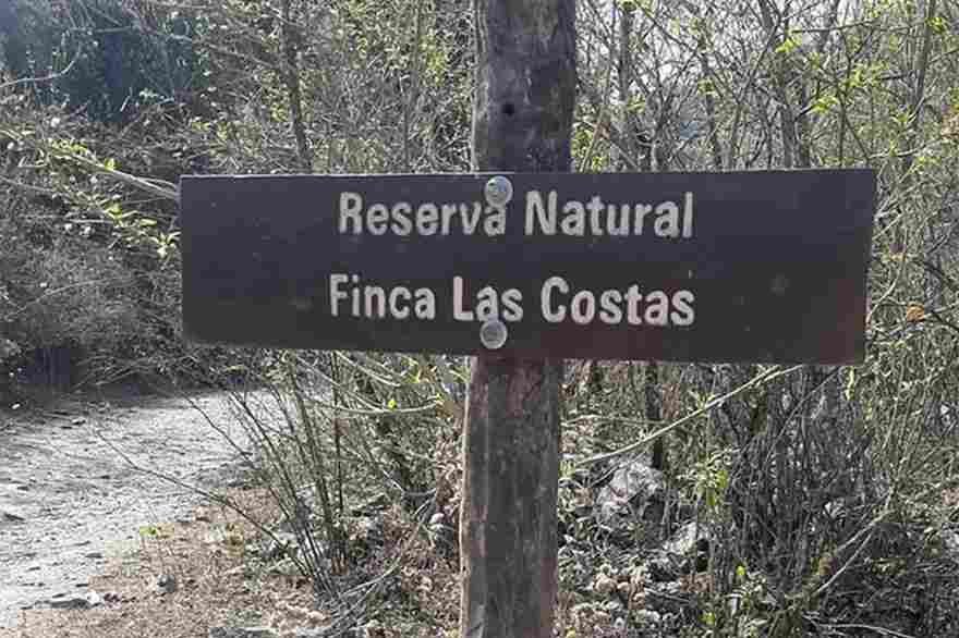 Escándalo en la Reserva Finca Las Costas: rechazan una nulidad y apelan trabas que frenan los desalojos