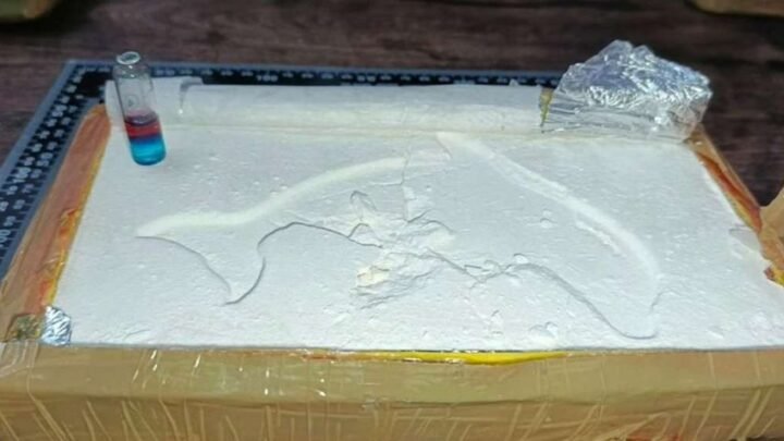 Cae un hombre con más de 65 kilos de cocaína ocultos en el tanque de combustible en Salta