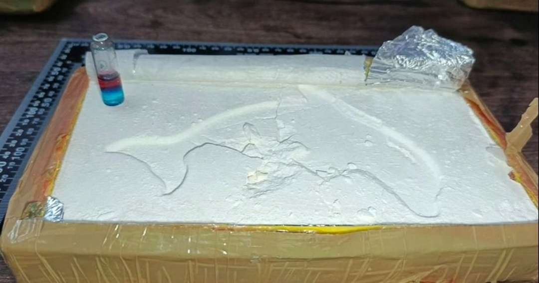 Cae un hombre con más de 65 kilos de cocaína ocultos en el tanque de combustible en Salta
