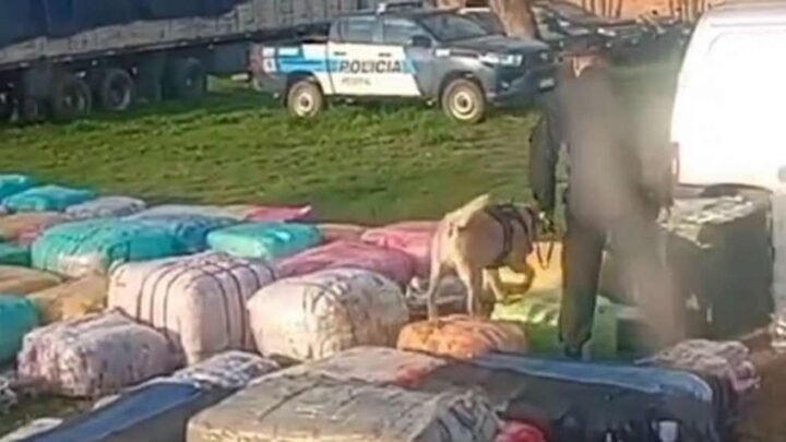 Escándalo en Orán: la Policía Federal secuestró un colectivo y los damnificados denuncian un procedimiento brutal