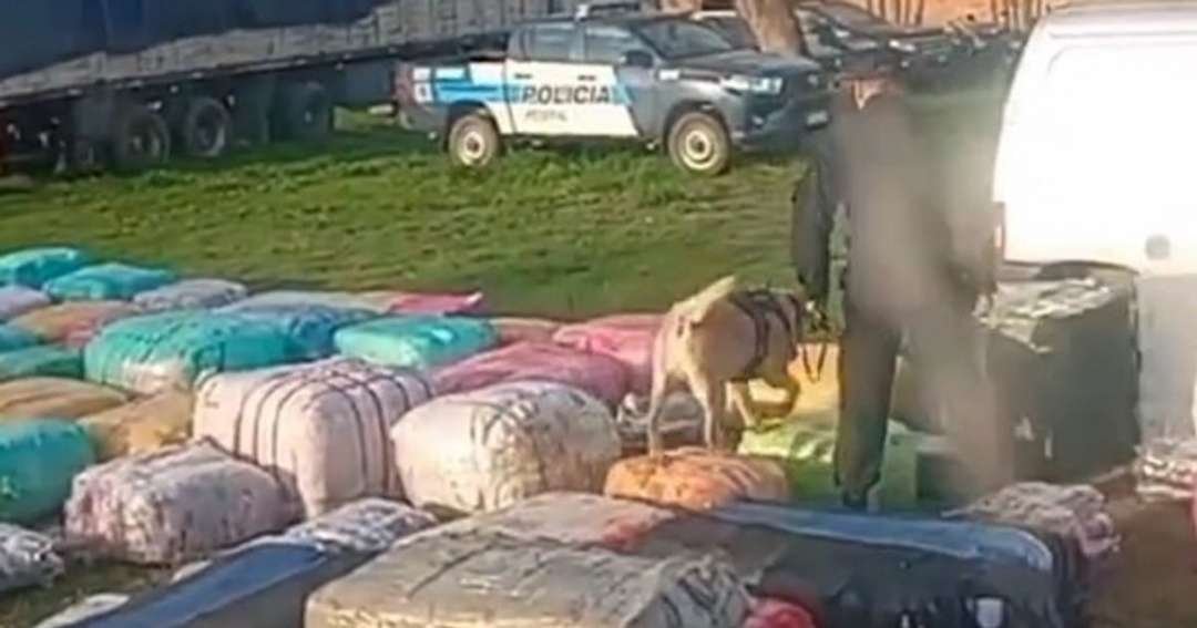 Escándalo en Orán: la Policía Federal secuestró un colectivo y los damnificados denuncian un procedimiento brutal