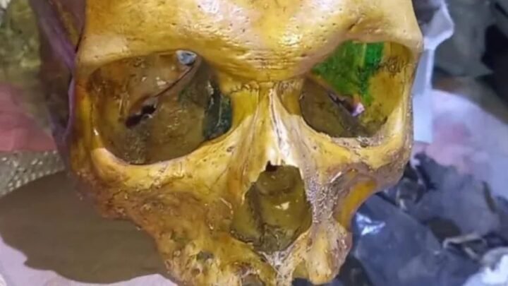 cráneo humano Roldán Macabro hallazgo Santa Fe encontraron
