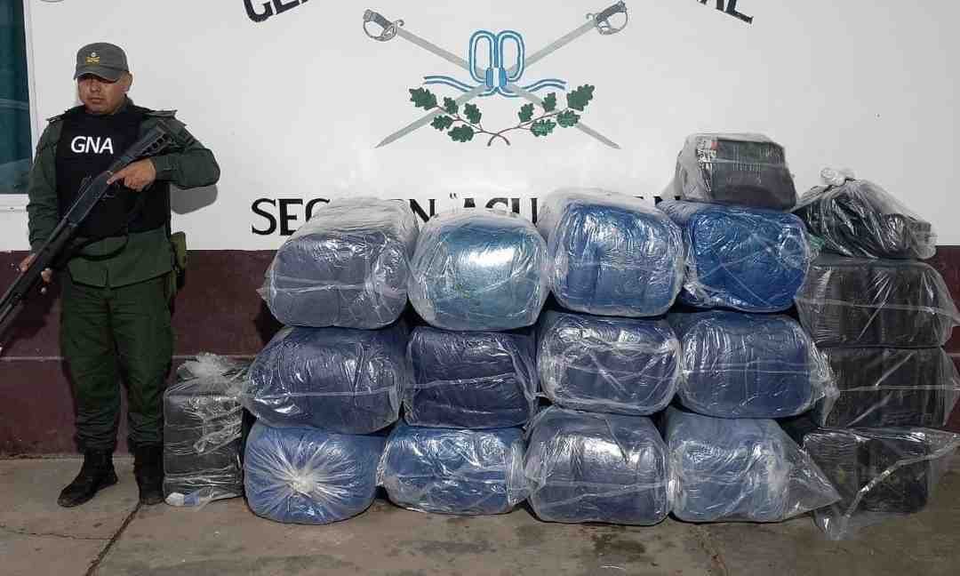 contrabando Orán Golpe incautaron más media tonelada hojas coca marihuana