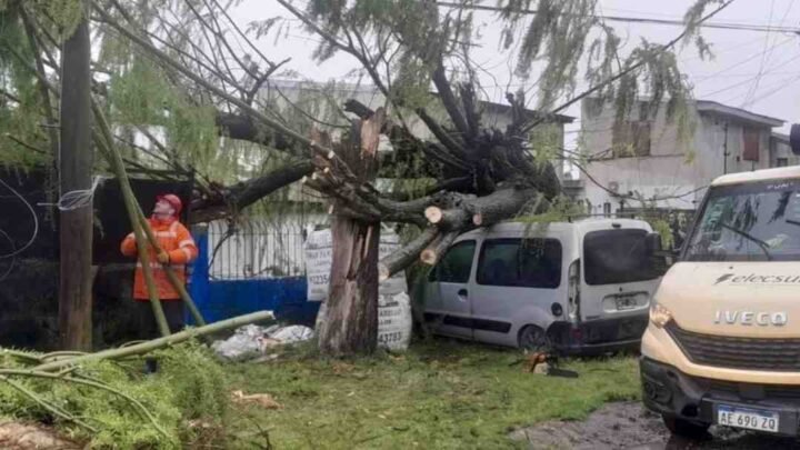 Furia en la Costa Atlántica: un árbol aplastó una camioneta y el temporal dejó un tendal de destrozos