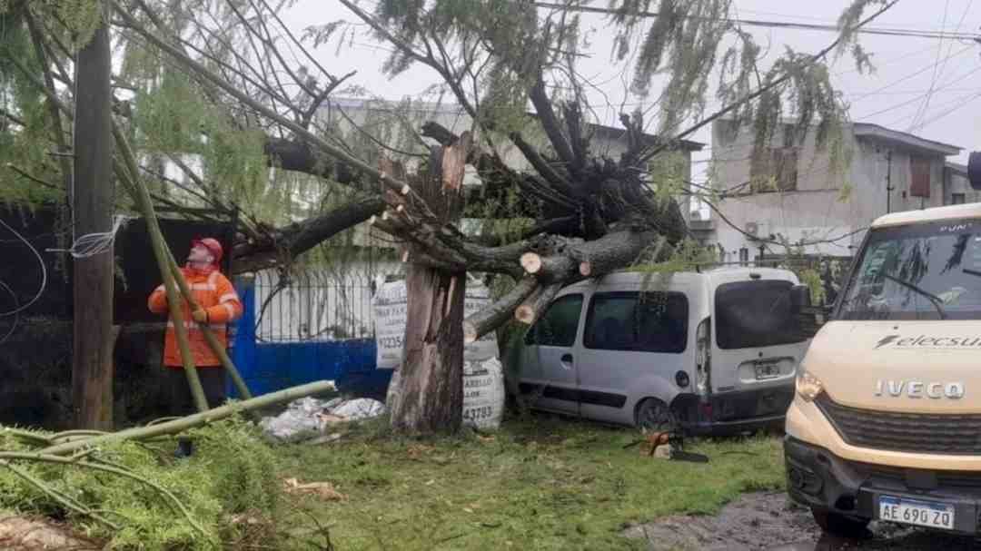 Furia en la Costa Atlántica: un árbol aplastó una camioneta y el temporal dejó un tendal de destrozos