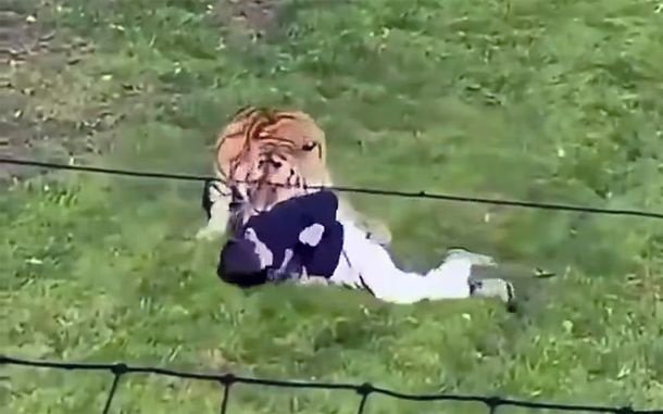 Yorkshire Wildlife Park Tragedia Inglaterra hombre murió ingresar